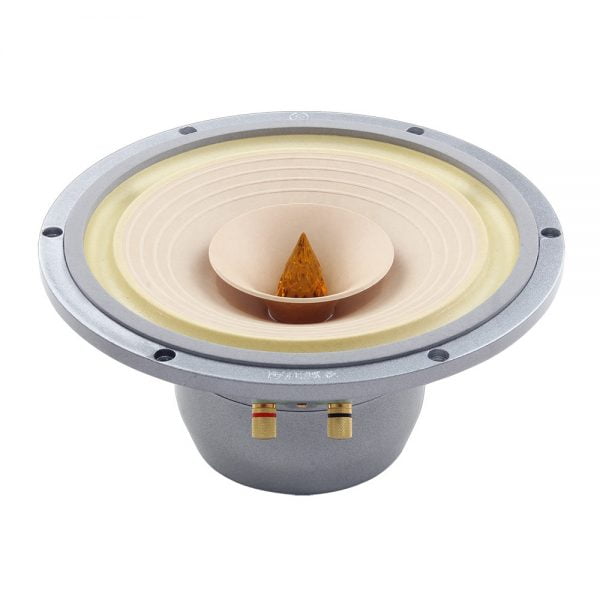 Crystal-10 full range driver 45 degree front view