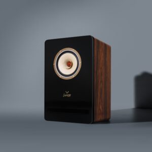 One pair | 6.5 Inch Bookshelf Full Range Speaker For Outstanding Voice and Instrument | Lii Song Ling Silver-6 MKii