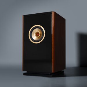 Lii Song | One pair | 6.5 Inch Premium Desktop Full Range Speaker | YUNX C-6
