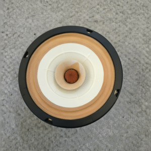 One Pair | 6.5 Inch Full Range Speakers | Ideal Desktop and Bookshelf Unit | Fast-6S (Pre-order)